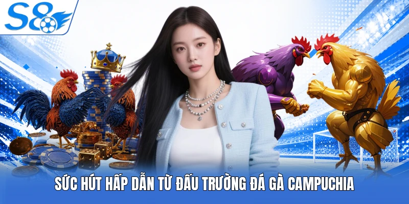 Sức hút hấp dẫn từ đấu trường đá gà Campuchia
